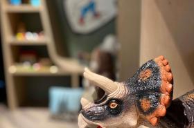 ibis Styles Clermont Ferrand Aéroport - photo 6