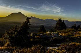Novotel Suites Clermont Ferrand Polydome - photo 8