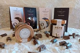 Novotel Suites Clermont Ferrand Polydome - photo 15